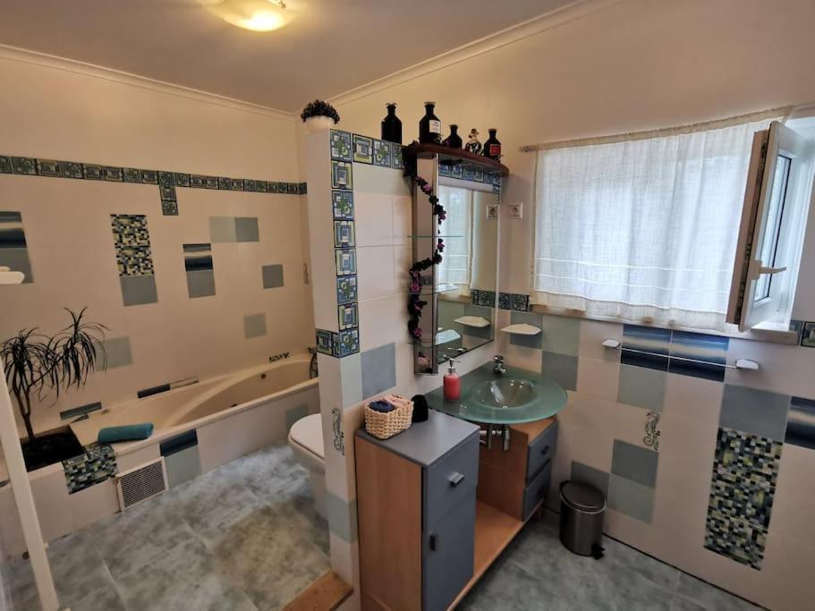 Cantinho Da Alice Family Villa Sertã エクステリア 写真