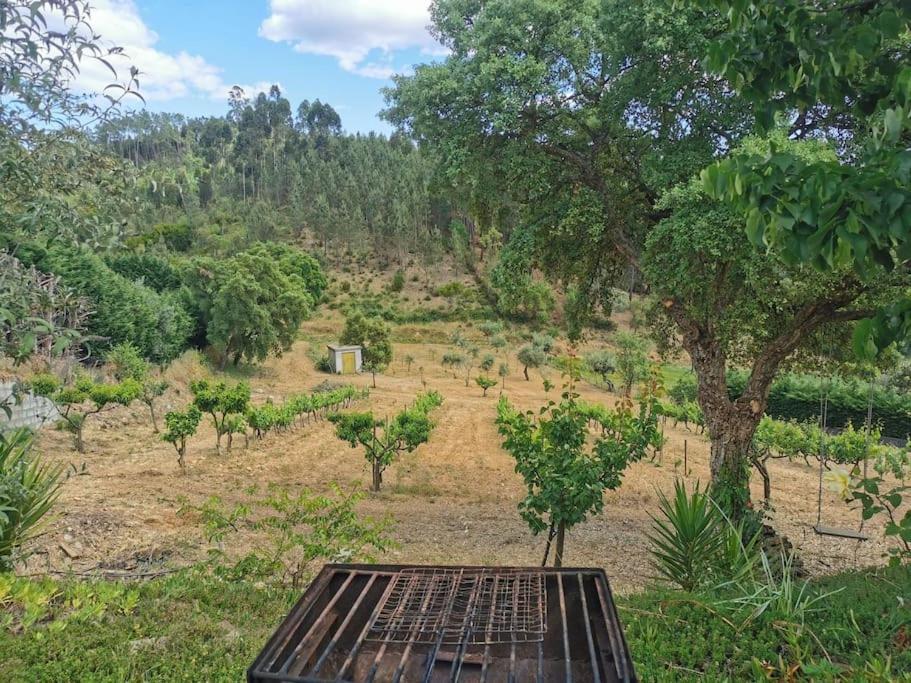 Cantinho Da Alice Family Villa Sertã エクステリア 写真