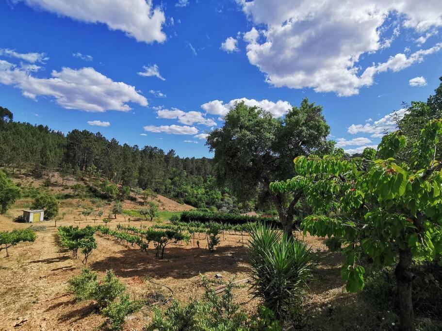 Cantinho Da Alice Family Villa Sertã エクステリア 写真