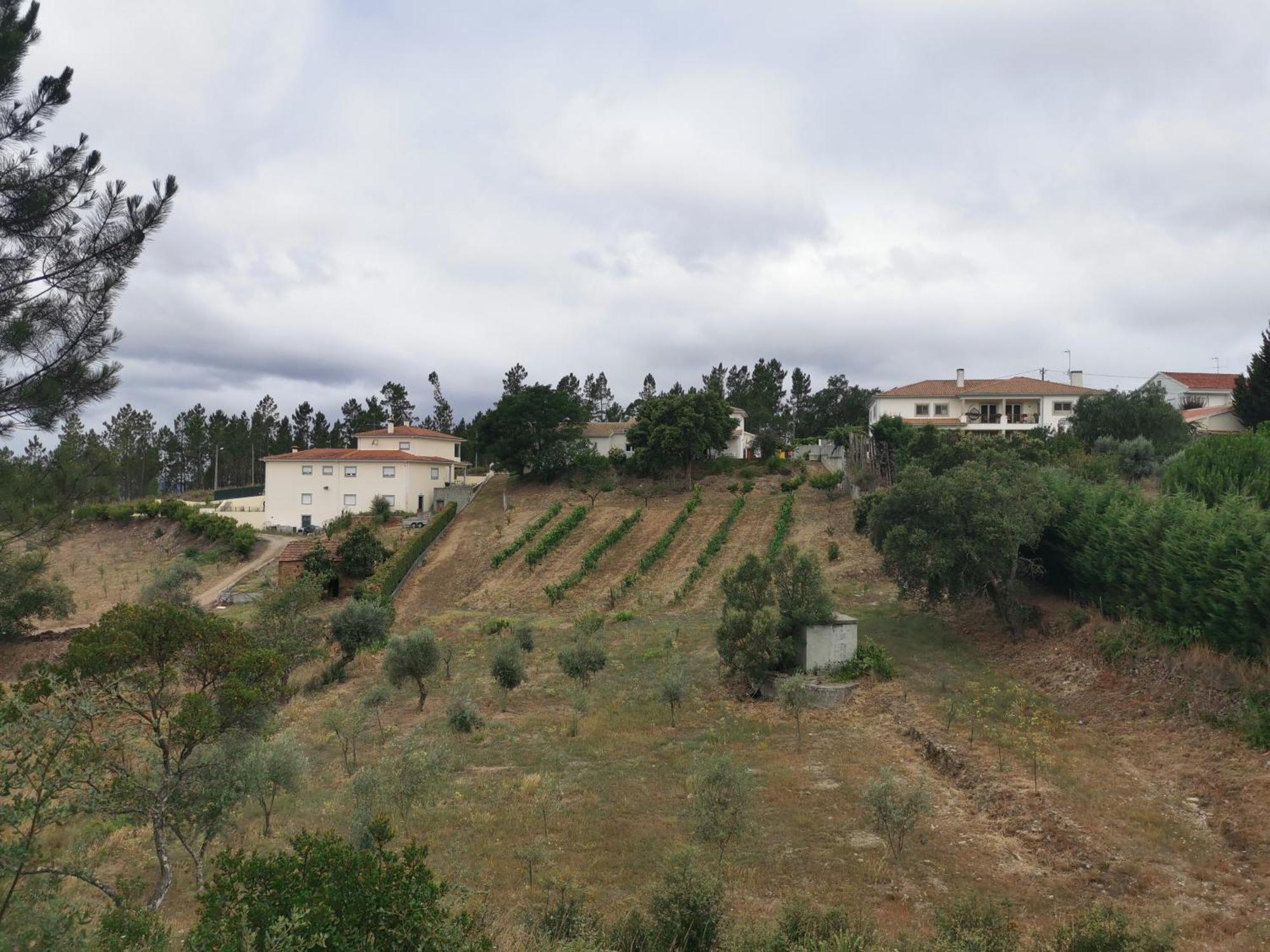 Cantinho Da Alice Family Villa Sertã エクステリア 写真