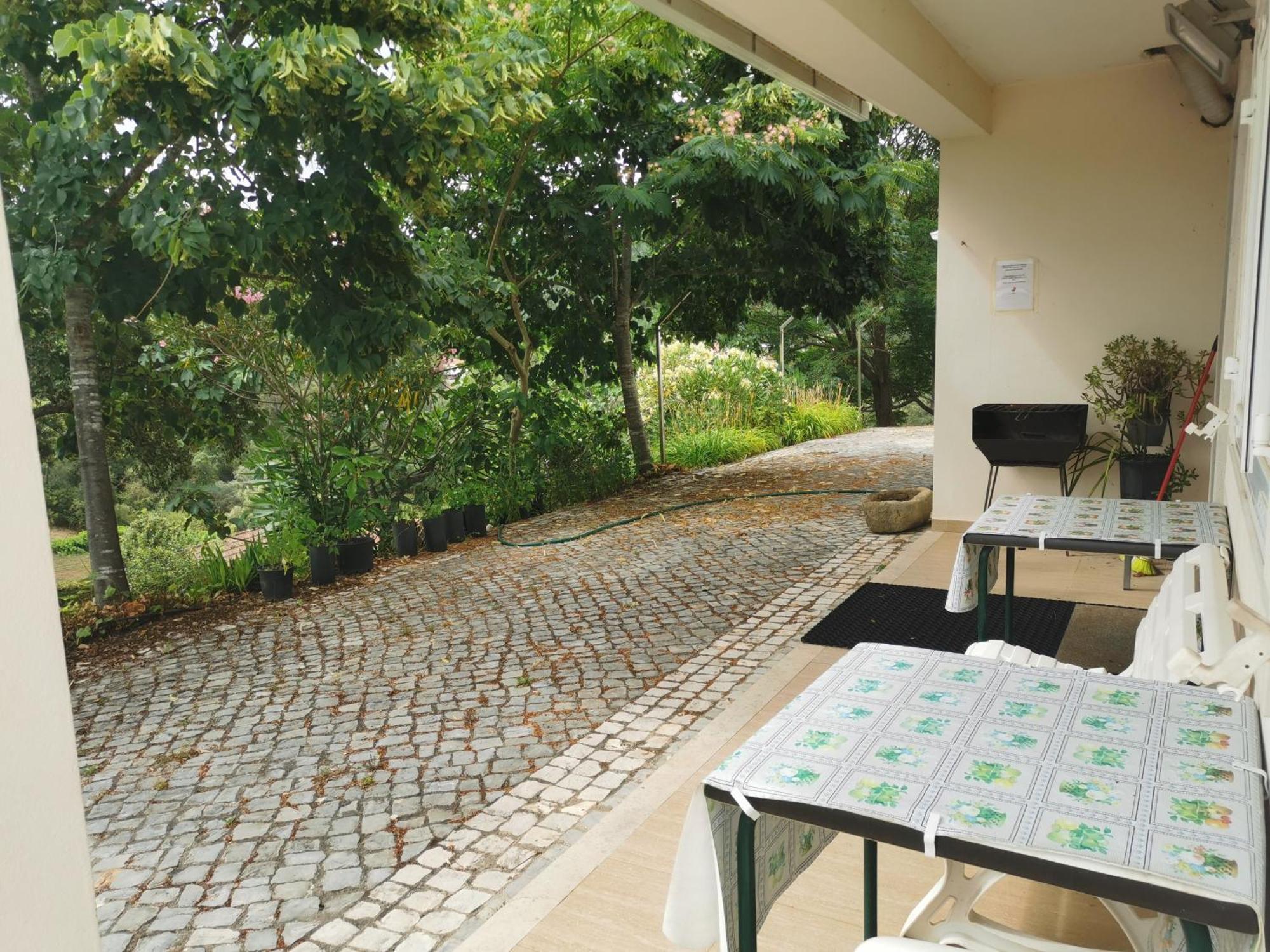 Cantinho Da Alice Family Villa Sertã エクステリア 写真